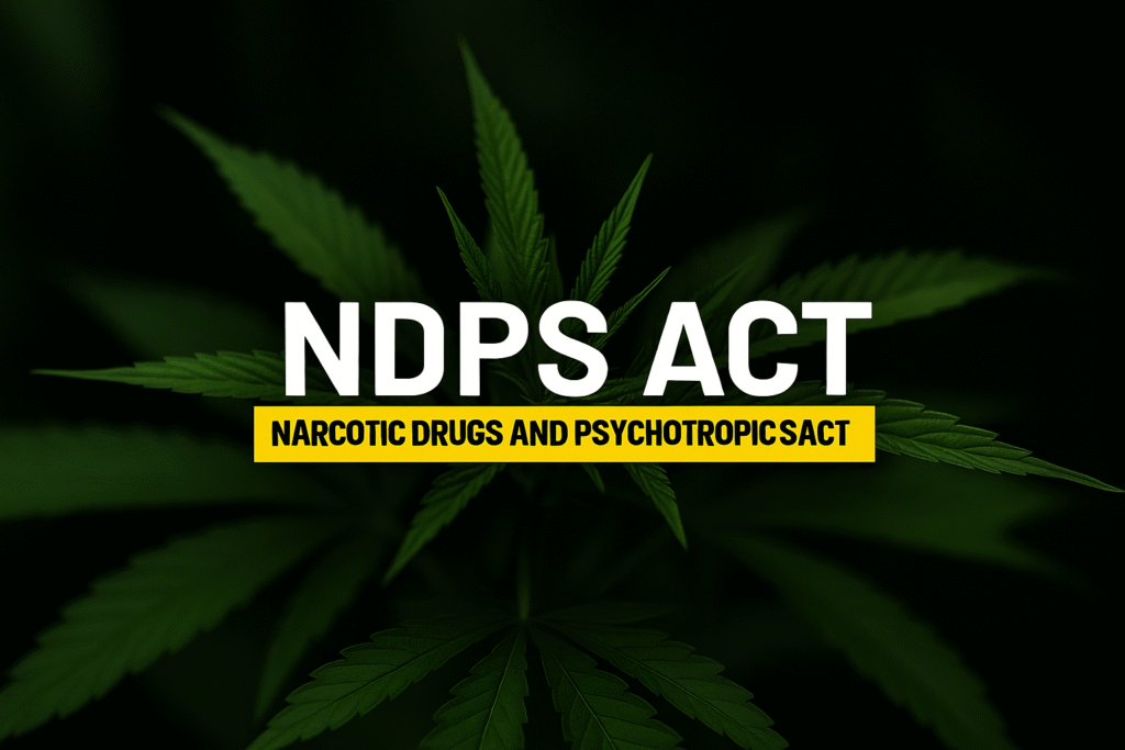 NDPS Lawyer in Jaipur – Drug Case Legal Help & Bail Call 9468700292